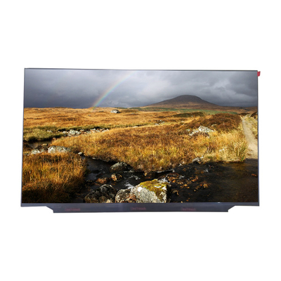 شاشة الكمبيوتر المحمول LED LCD RGB 1920 × 1080 60 هرتز 17.3 بوصة LM173LF1F01