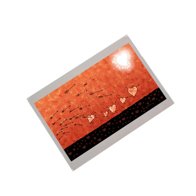AA070MC12 7.0 بوصة دقة 800 * 480 شاشة TFT-LCD.