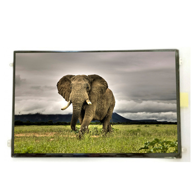 B101UAN01.9 10.1 بوصة 16.7M 52%NTSC شاشة LCD