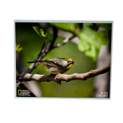 LM201U1-A3M1 20.1 بوصة 1600*1200 شاشة LCD