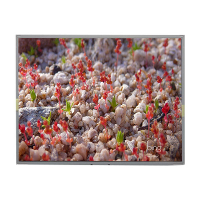 LM2011-SLWE01 شاشة شاشة LCD الأصلية 20.1 بوصة 1680*1050