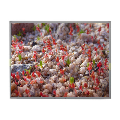 LM201WE2-SLBC TFT LCD Module 20.1 بوصة لوحة LCD لشركة LG