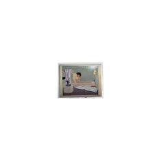 800*480 5.0 بوصة AM-800480NATZQW-00H شاشة LCD شاشة لوحة العرض