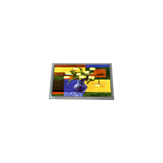 بيع ساخن 800*600 12.1 بوصة T-51512D121J-FW-A-AC 262K شاشة LCD