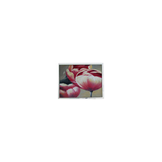 جديد T-55548GD057JU-LW-AAN 5.7 بوصة 262K شاشة LCD أجزاء