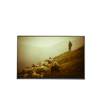 B170WP04 V0 17.0 بوصة لوحة عرض LCD 1440 * 900 شاشة LCD
