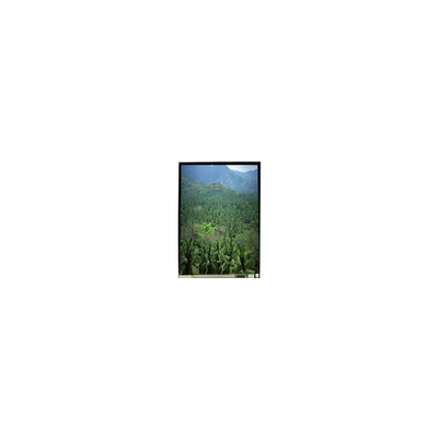 LS055B3SX04Z 5.5 بوصة 1920 * 3664 لوحة شاشة LCD TFT
