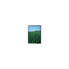 5.0 بوصة LS050T3SX09 1080 * 1920 شاشة LCD للهاتف المحمول