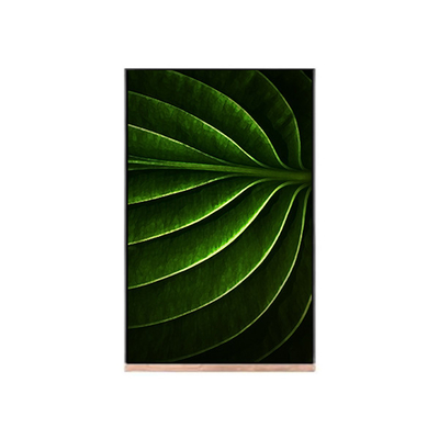 شاشة LCD 10.1 بوصة للوحدة LCD NV101WUM-N53