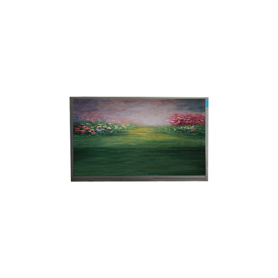 شاشة LCD لـ 13.3 بوصة R133NWF4 RB LCD Module