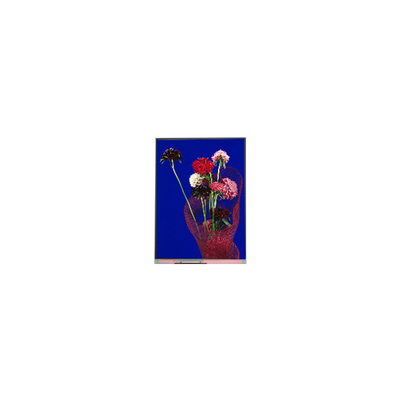 5.4 بوصة C054SWR6-0 540*1132 شاشة LCD للهاتف