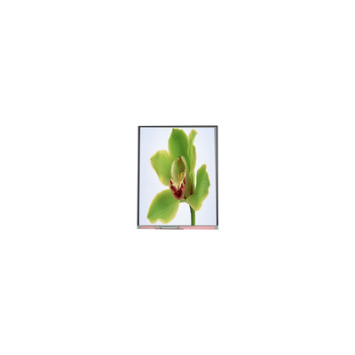 5.0 بوصة شاشة TFT LCD 480 * 854 C050SWYG-3