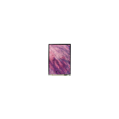 5.2 بوصة LS052T3SX15 1080*1920 شاشة LCD