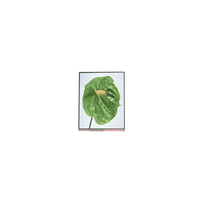 C050SWYM-0 5.0 بوصة 480 * 960 شاشة LCD شاشة للهاتف