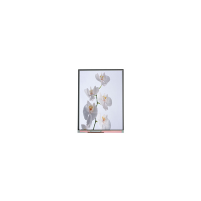 C060SWR6-1 6.0 بوصة 720 * 1528 لوحة شاشة LCD