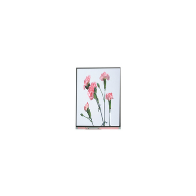 C060SWA3-3 6.0 بوصة 720*1280 شاشة LCD شاشة للهاتف