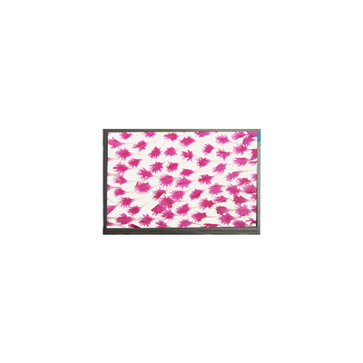 9.0 بوصة 800*480 شاشة LCD شاشة E090SWP1 R2 لوحة LCD