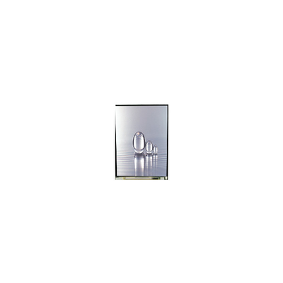 LS038Y7DX01 3.8 بوصة 480*800 شاشة LCD