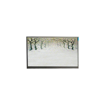 R125NWR3 R3 12.5 بوصة وحدة شاشة LCD 1366 * 768 شاشة شاشة LCD