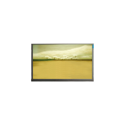 21.5 بوصة M215HJK-L3B لوحة شاشة LCD 1920*1080 شاشة LCD