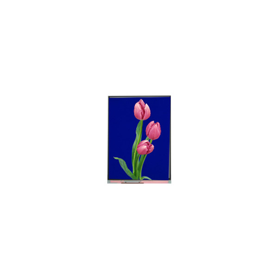 C055SWF4 R0 وحدة LCD 5.5 بوصة شاشة TFT LCD