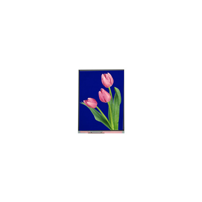 شاشة LCD جديدة مقاس 5.4 بوصة C054SWZ4-1 540*960
