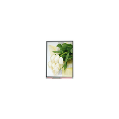 5.5 بوصة C055SWY2 R0 لوحة شاشة LCD