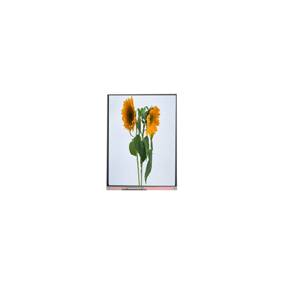 9.0 بوصة IVO لوحة شاشة LCD C090SWT3-0 1024 * 600 وحدات عرض شاشة LCD