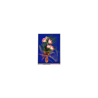 5.4 بوصة لوحة LCD 540*960 C054SWN1-1 وحدة عرض LCD