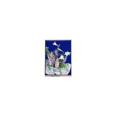 C054SWN1 R0 tft شاشة LCD شاشة 5.4 بوصة لوحة LCD
