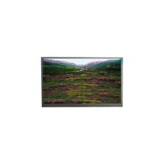 P236MWF1 R0 23.6 بوصة 1920 * 1080 لوحة LCD وحدات LVDS