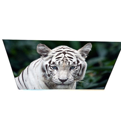 سعر جيد الصناعة G270QAN02.0 27.0 بوصة 70 دبوس لوحة LCD TFT الانترنت