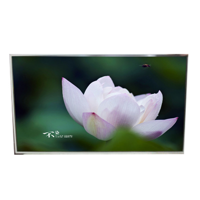 سعر جيد LD490EQG-FPA3 49.0 بوصة 3840 * 2160 لوحة شاشة LCD بدقة للاشارات الرقمية الانترنت