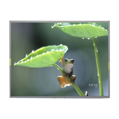 سعر جيد LM2013-WETLF1 الأصلي في المخزون 20.1 بوصة شاشة شاشة LCD الانترنت