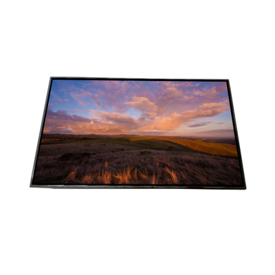 سعر جيد AV101HDM-N10 10.1 بوصة شاشة LCD شاشة LCD الانترنت