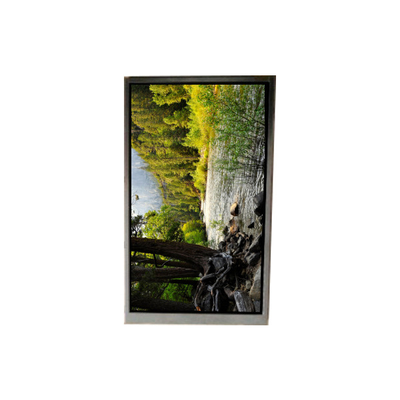 سعر جيد BA050WQ2-200 5.0 بوصة 480 * 272 شاشة LCD للملاحة المحمولة الانترنت