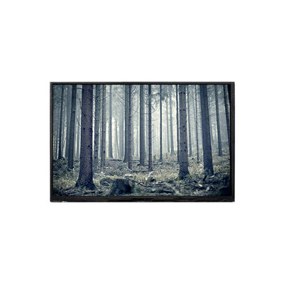 سعر جيد BP101WX2-100-3QP0 10.1 بوصة شاشة LCD شاشة LCD الانترنت