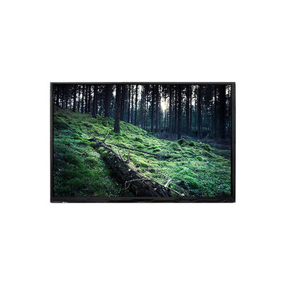 سعر جيد BP101WX4-300 10.1 بوصة شاشة LCD شاشة LCD الانترنت