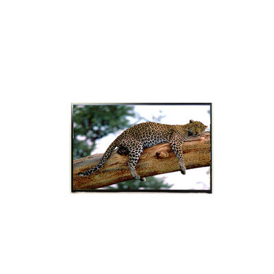 سعر جيد LP141WP1-TLE6 14.1 بوصة 60 هرتز لوحة LCD 1440*900 شاشة LCD الانترنت