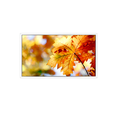 سعر جيد EV238FHM-N12 23.8 بوصة 1920 * 1080 شاشة LCD شاشة الانترنت