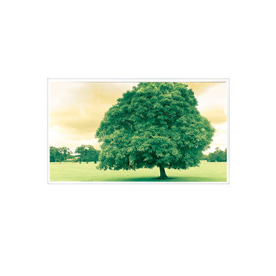 سعر جيد 1600*1200 TDA150-005V01 15.0 بوصة 60 هرتز 1000: 1 شاشة LCD الانترنت