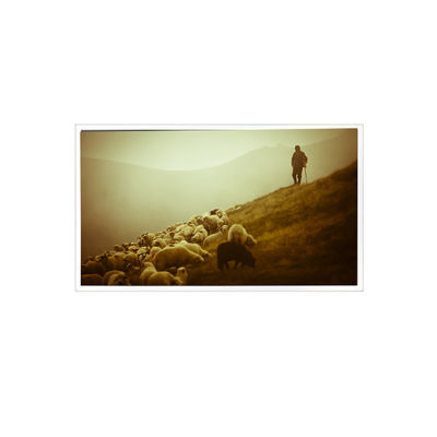 سعر جيد QV140FHM-N48 14.0 بوصة 1920*1080 800:1 60Hz eDP 30 دبوس شاشة LCD الانترنت