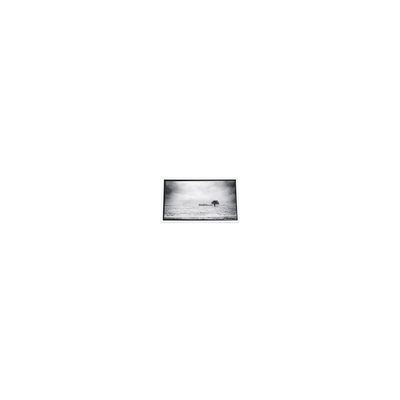 سعر جيد 640*480 3.5 بوصة PD035VX1 262K شاشة LCD للمعرض الانترنت