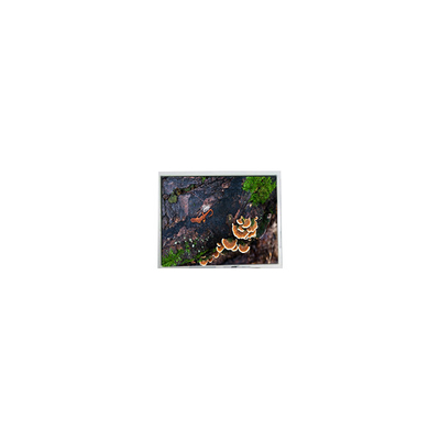 سعر جيد 5.7 بوصة PD057VU8 640*480 60Hz شاشة LCD للصناعية الانترنت