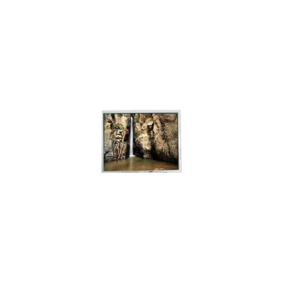 سعر جيد 800*600 PD104SLJ 10.4 بوصة 400 cd/m2 شاشة LCD 60 هرتز الانترنت
