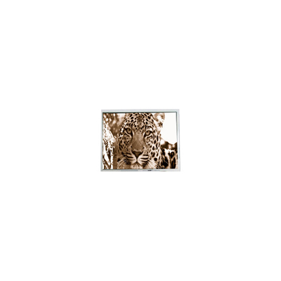 سعر جيد PM070WM2 7.0 بوصة 800 * 480 شاشة LCD لمشغل DVD المحمول الانترنت