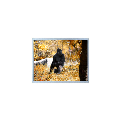 سعر جيد لوحة شاشة LCD أصلية 7.0 بوصة 800*480 PW070WX2 الانترنت