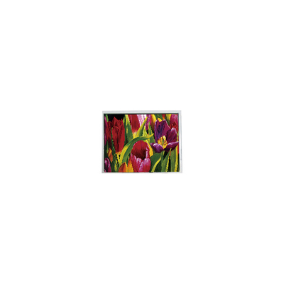 سعر جيد AM-800480LATMQW-TN0H-L 800*480 5.0 بوصة 3S6P لوحة LCD WLED الانترنت