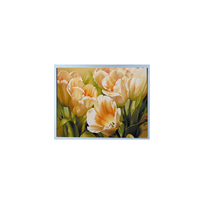 سعر جيد 9.0 بوصة 1024*600 AM-1024600Y2TZQW-A0H TFT 1200 cd/m2 لوحة شاشة LCD الانترنت
