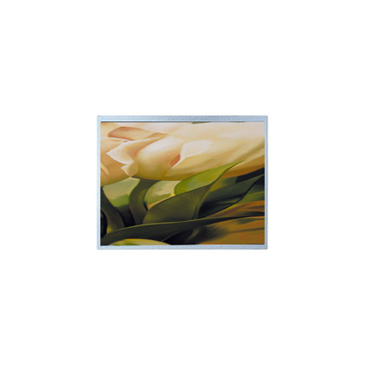 سعر جيد AM-1024600YTZQW-00H 1024*600 9.0 بوصة TFT 500 cd/m2 لوحة شاشة LCD الانترنت